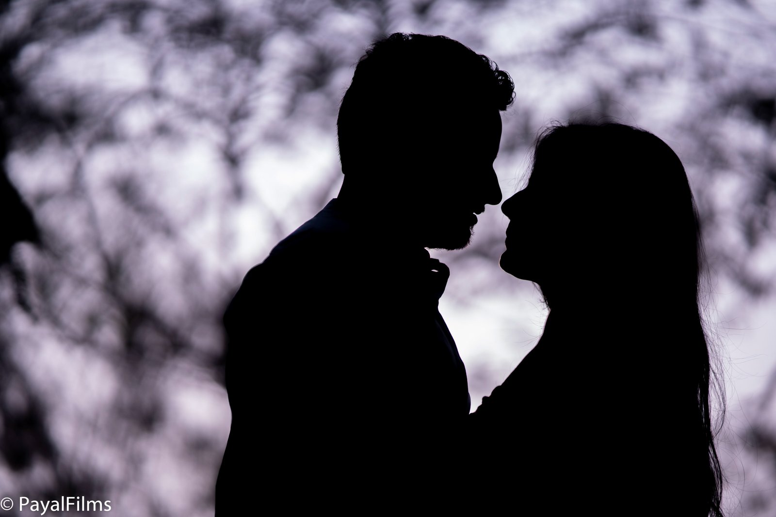 Romantic couple silhouette in a cinematic pre-wedding portrait by Payal Films in Khagaria.